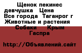 Щенок пекинес девчушка › Цена ­ 2 500 - Все города, Таганрог г. Животные и растения » Собаки   . Крым,Гаспра